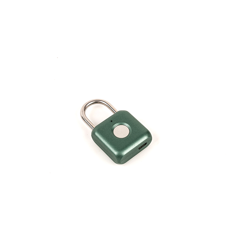 Material de aço de 0,1 kg de cadeado de impressão digital